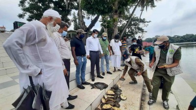 মোংলায় উদ্ধার ৭৩ সন্ধি কচ্ছপ খানজাহান আলী মাজার দিঘিতে অবমুক্ত